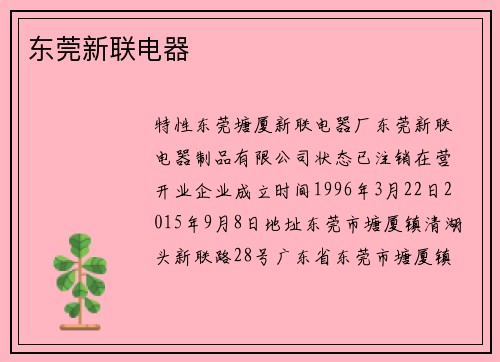 东莞新联电器